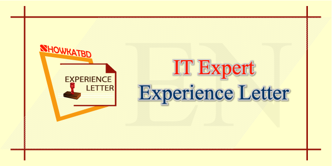 IT Expert Experience Certificate