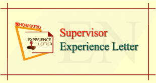 Supervisor Experience Certificate