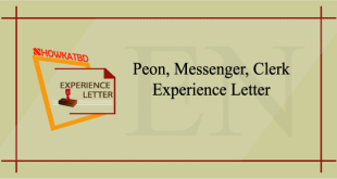 Peon-Messenger-Clerk Experience