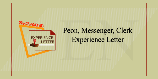 Peon-Messenger-Clerk Experience